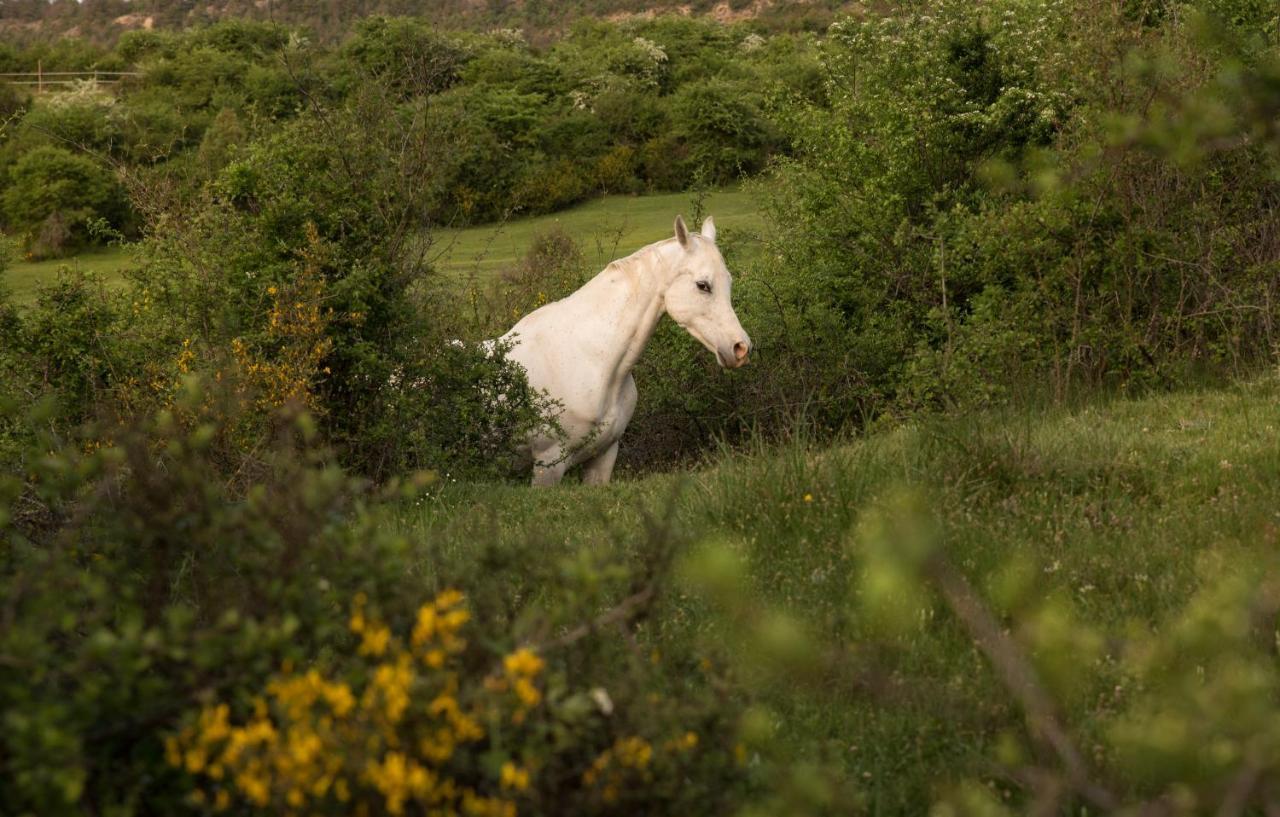 Hospedaje Rural Casa Parri Poveda de la Sierra المظهر الخارجي الصورة