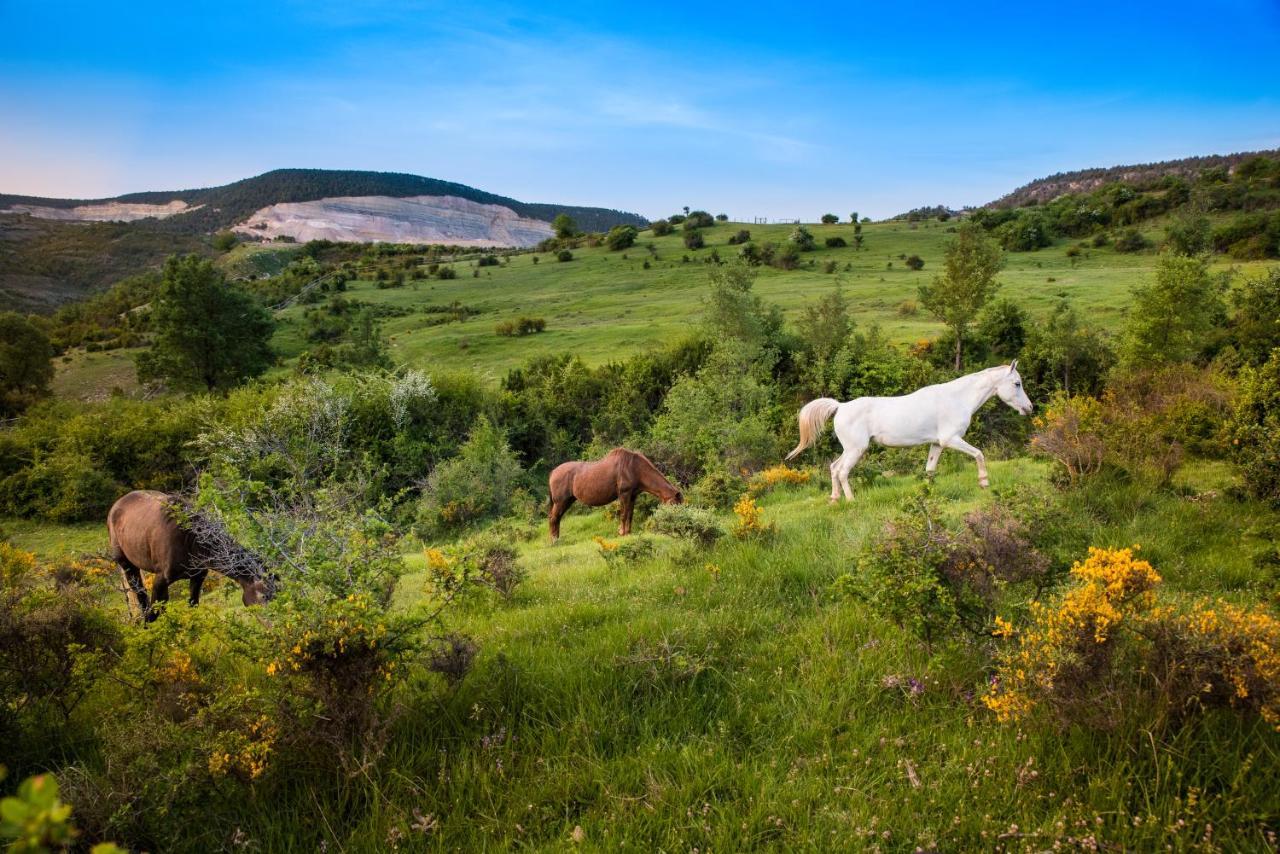 Hospedaje Rural Casa Parri Poveda de la Sierra المظهر الخارجي الصورة