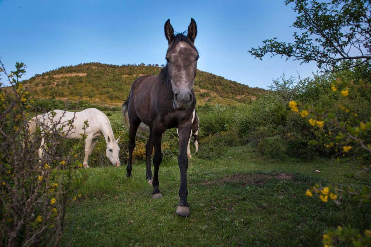 Hospedaje Rural Casa Parri Poveda de la Sierra المظهر الخارجي الصورة